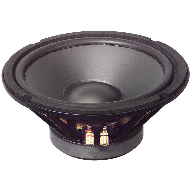 8 ohm 10 inch woofer