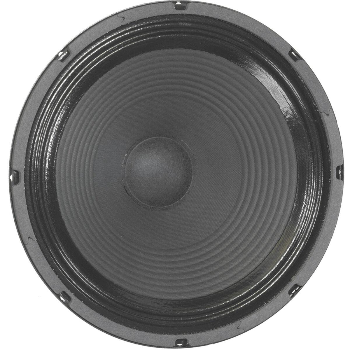 16 ohm 12 inch guitar speaker