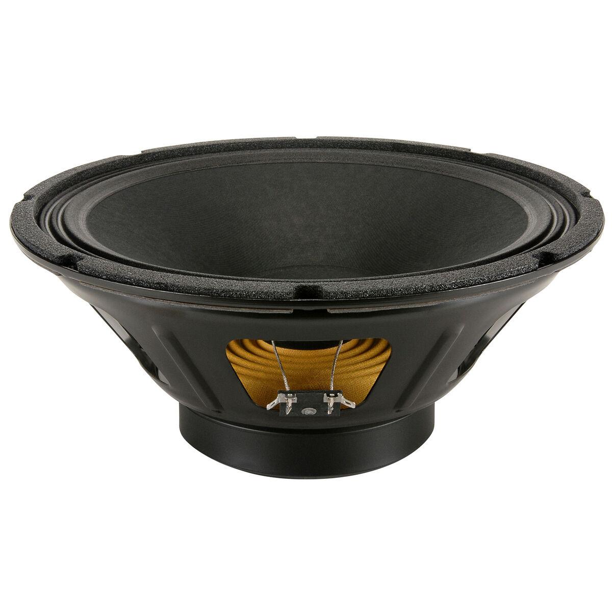 12 inch full range speaker driver