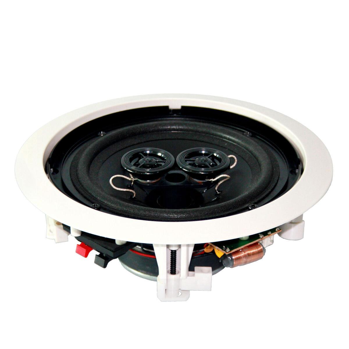 dual voice coil ceiling speaker