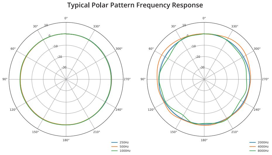 Polar Response of the IMM-6C