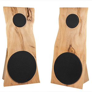 Speaker pair made from natural asymetrical wood, a design seen in the Speaker Design Competition.