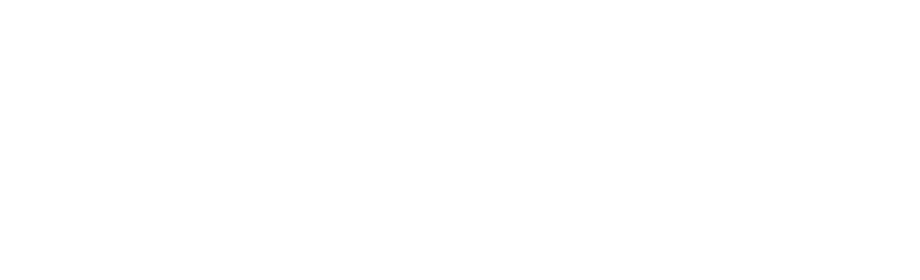 xDuoo logo