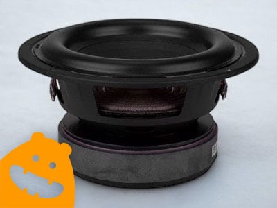 Tang Band 6-1/2 inch Paper Cone Subwoofer.